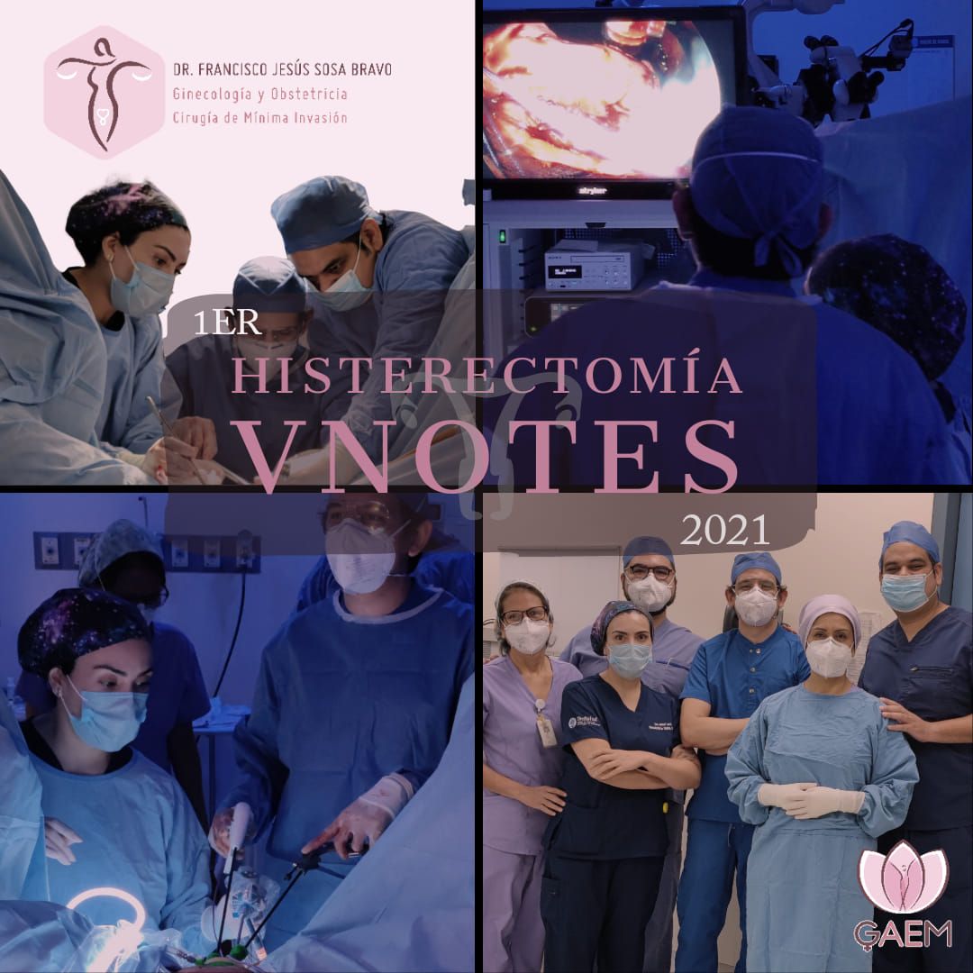 Francisco Jesús Sosa Bravo-7