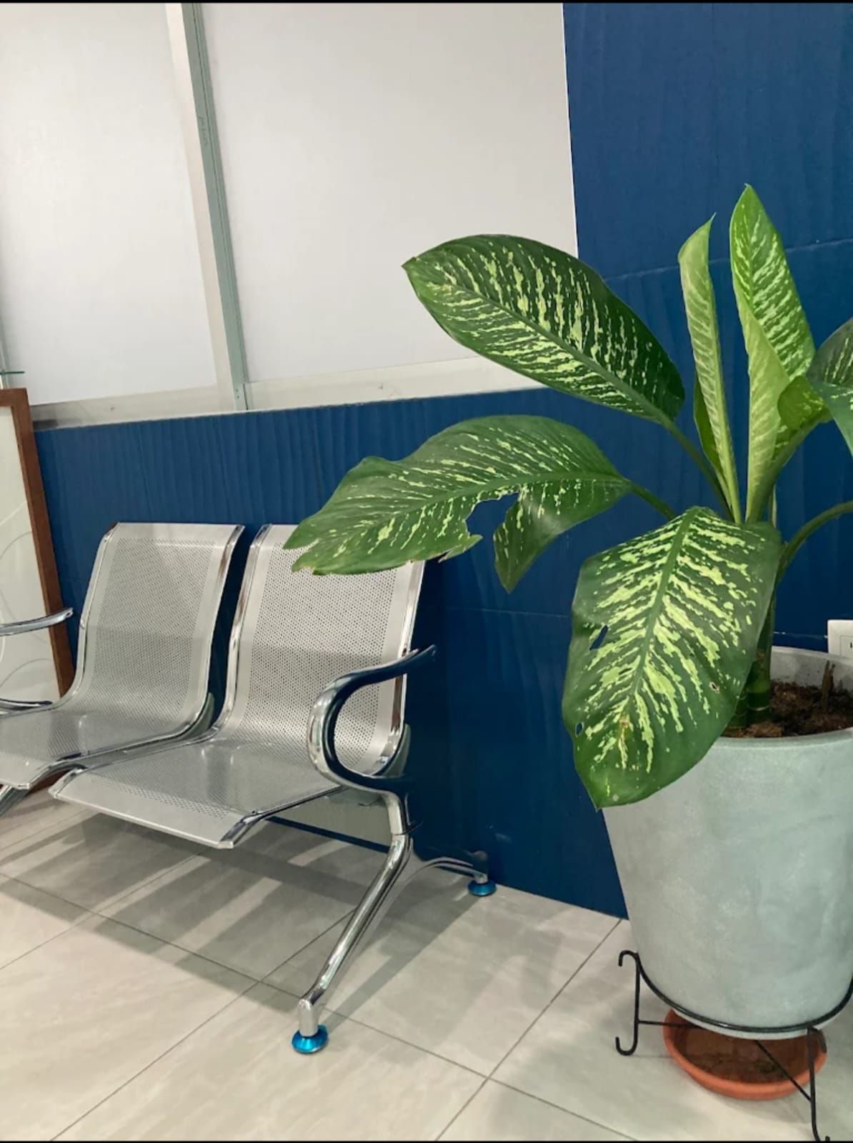 Flor Lizeth Ortiz Sánchez-0