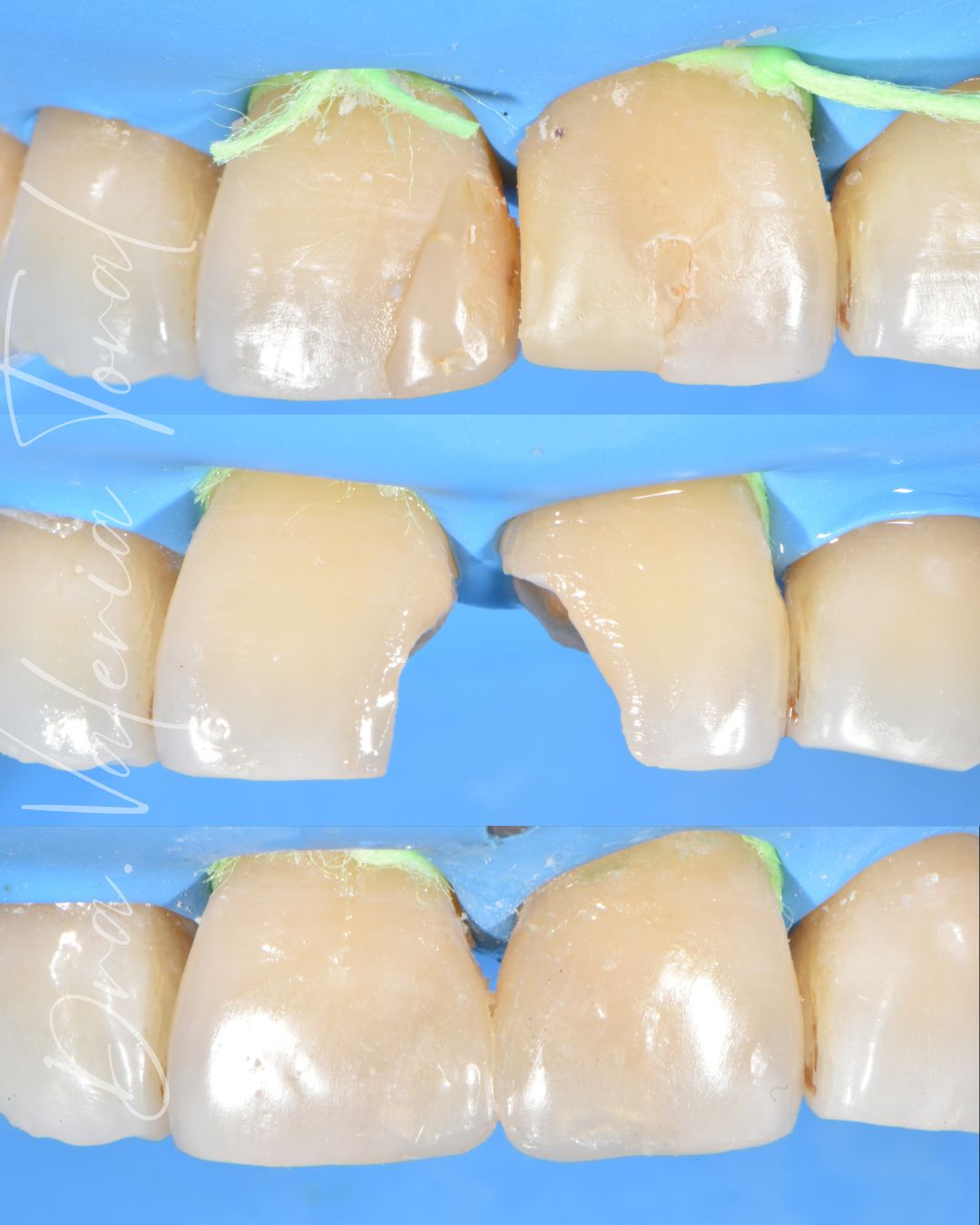 Valeria Montserrat Toral Ruiz-5