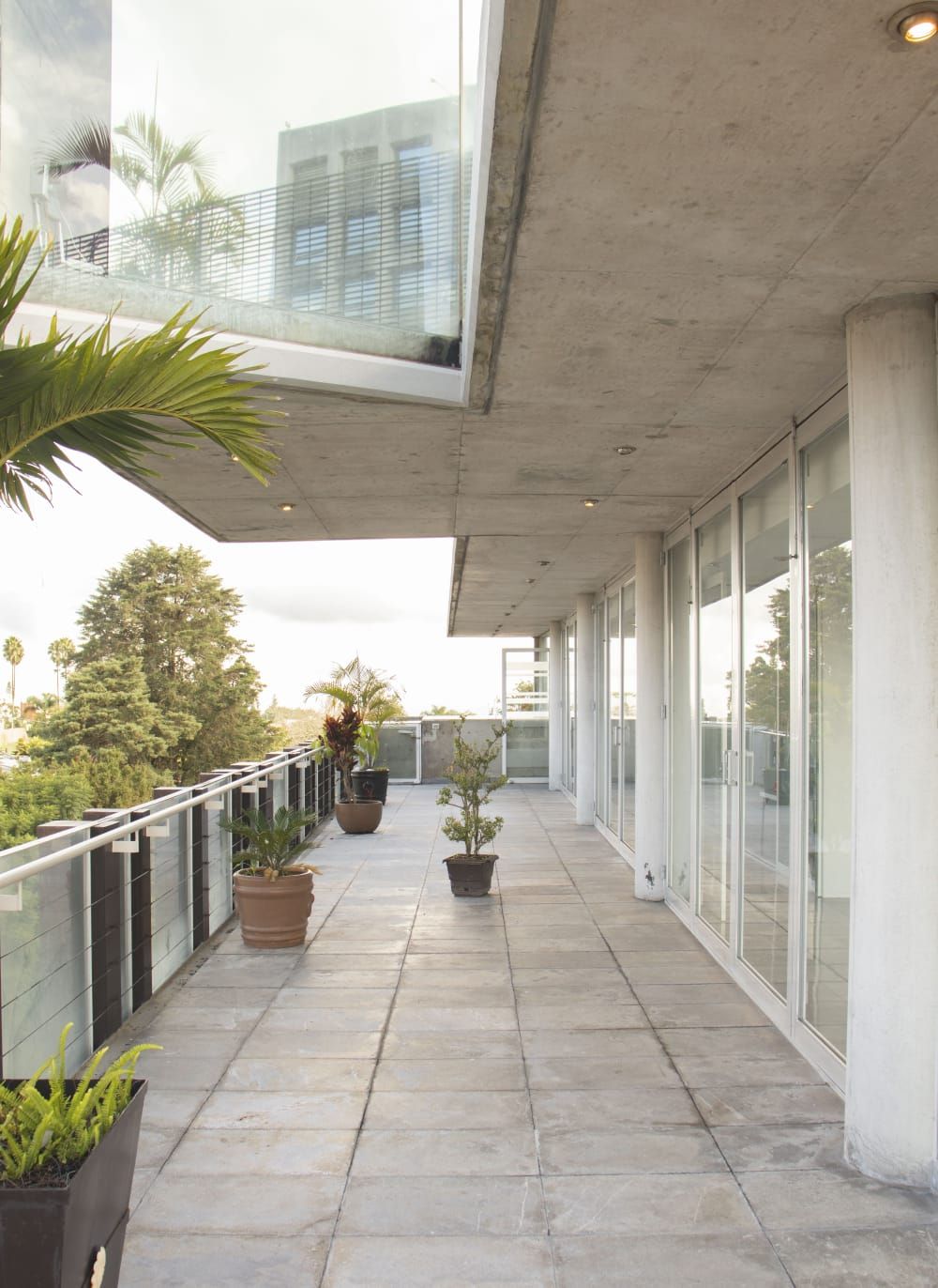 Luis Eduardo Velasco Sánchez-4