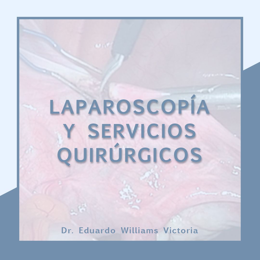 Eduardo Williams Victoria-1