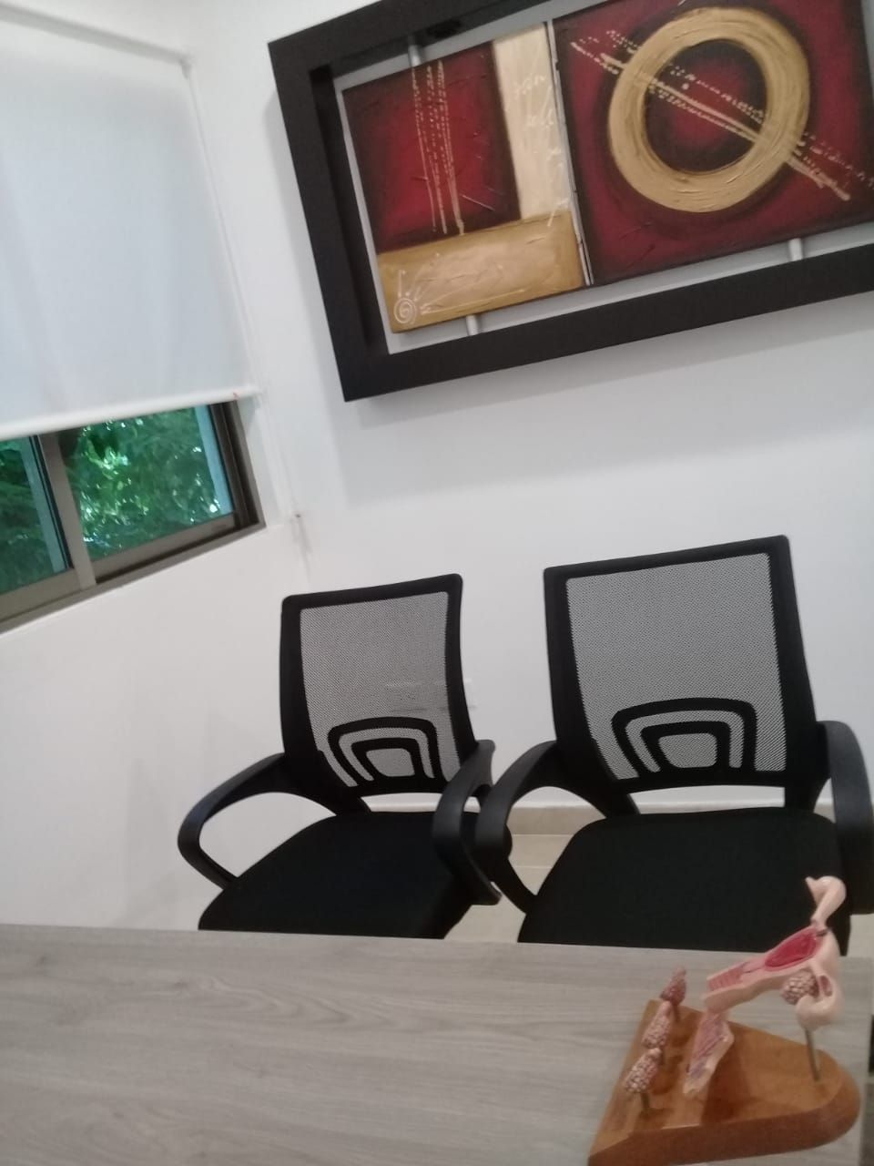 César Alejandro Rodríguez Benitez-8