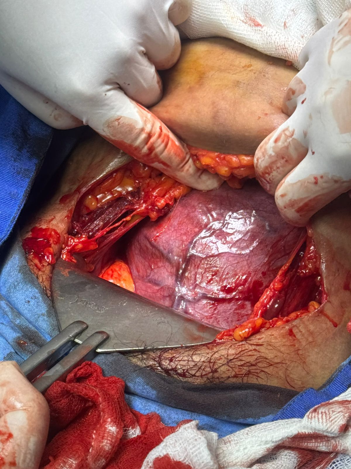 Andrea Contreras Mendoza-4