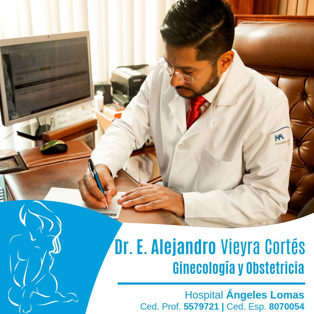 Edmundo Alejandro Vieyra Cortes-5