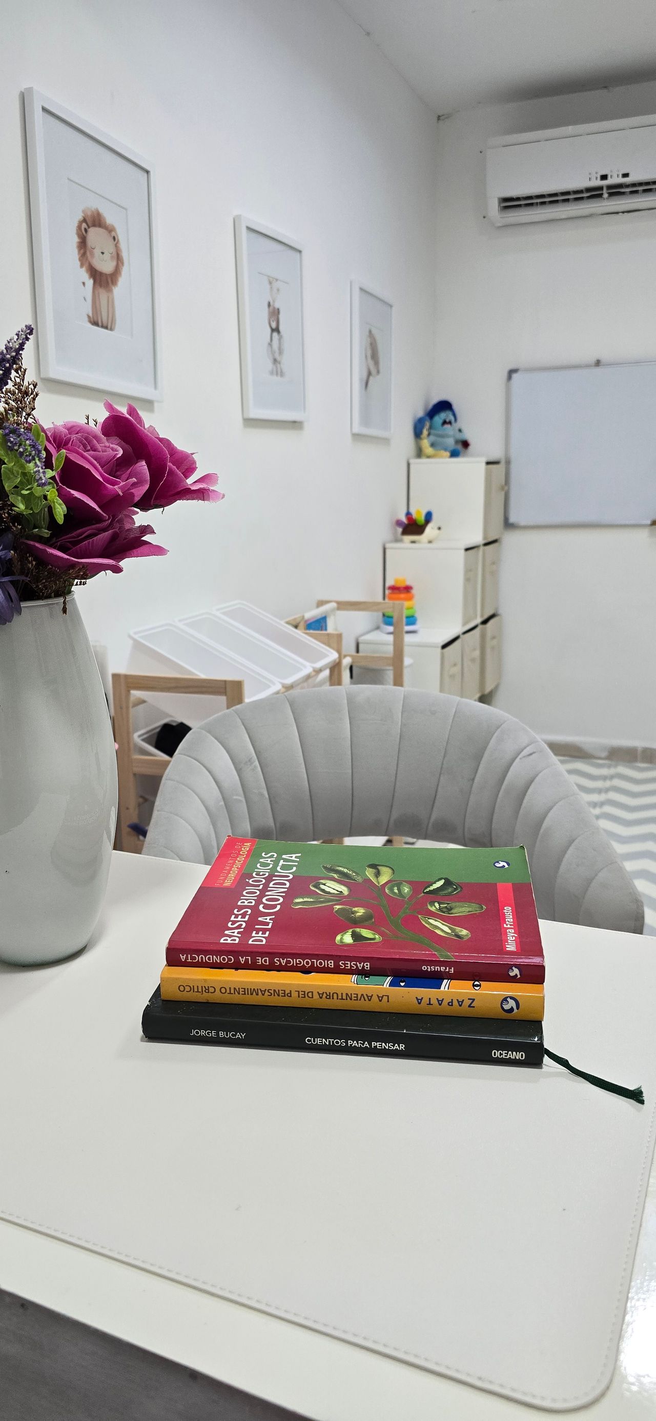 Viridiana Zapata Rivera-1