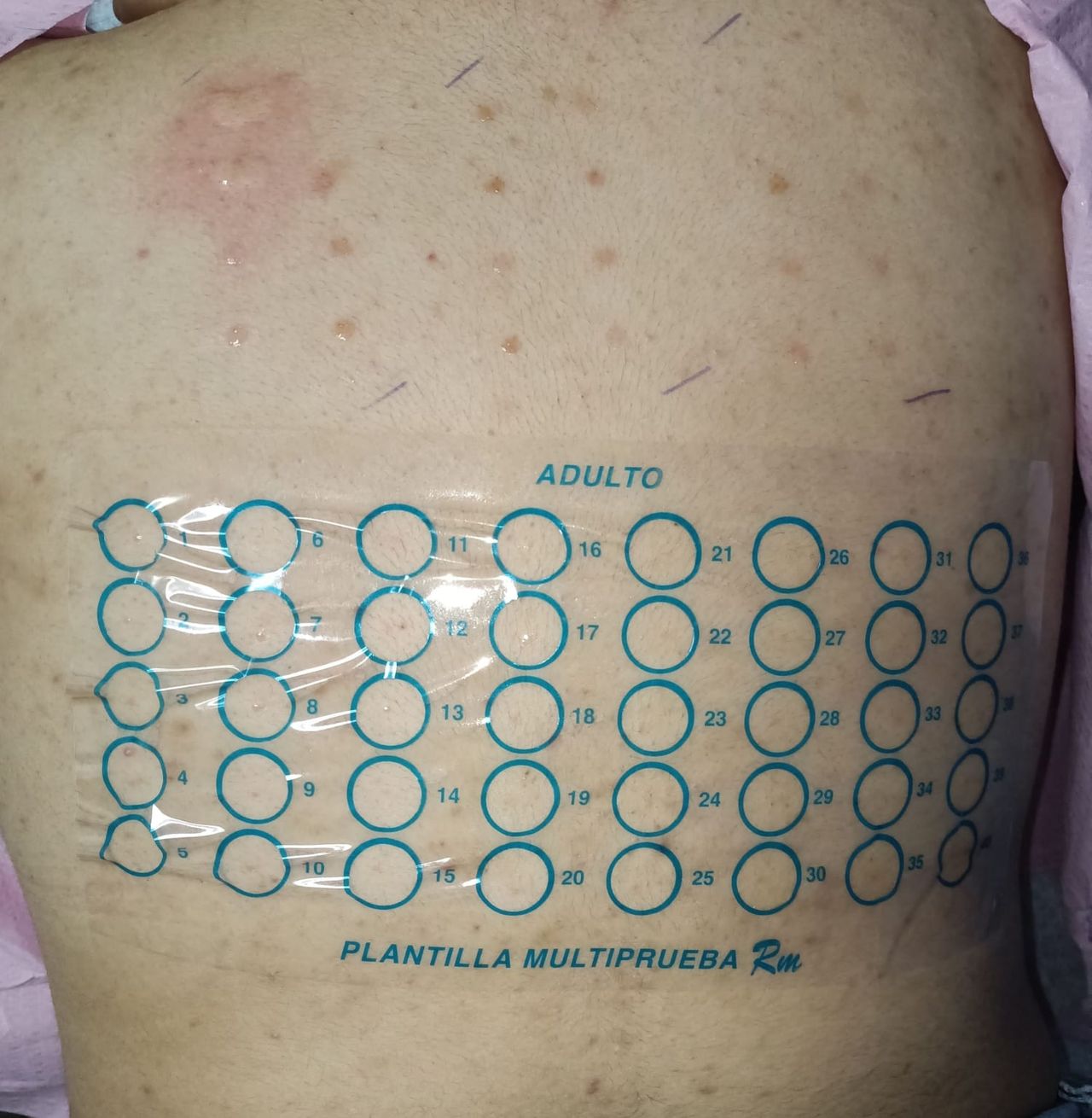 Carlos Gerardo Zuñiga Lagunes-10