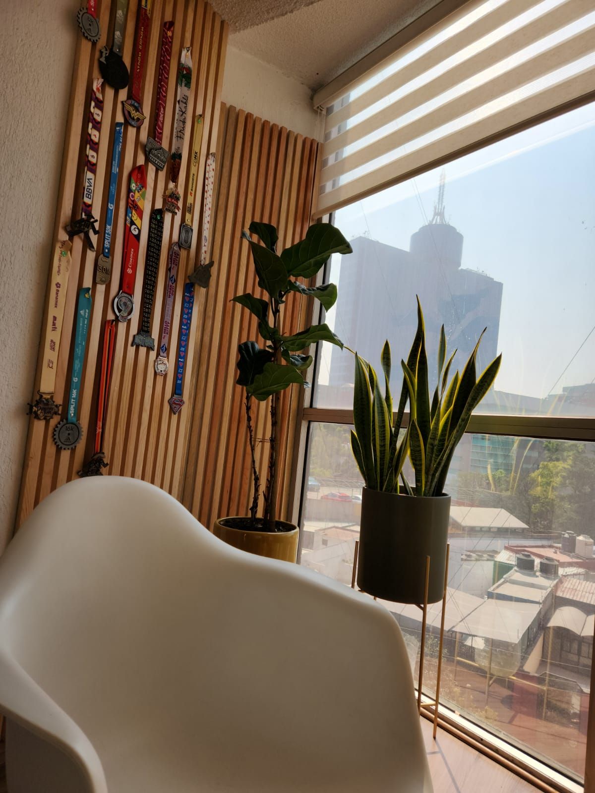 Eréndira Vargas Martínez-1