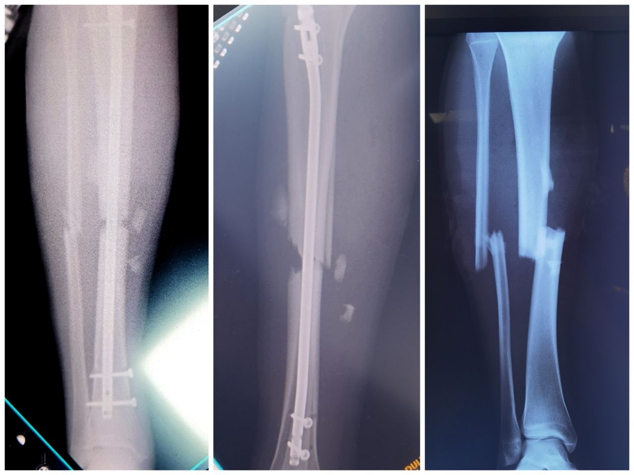 Gabriel De Leon Ochoa Lara-20