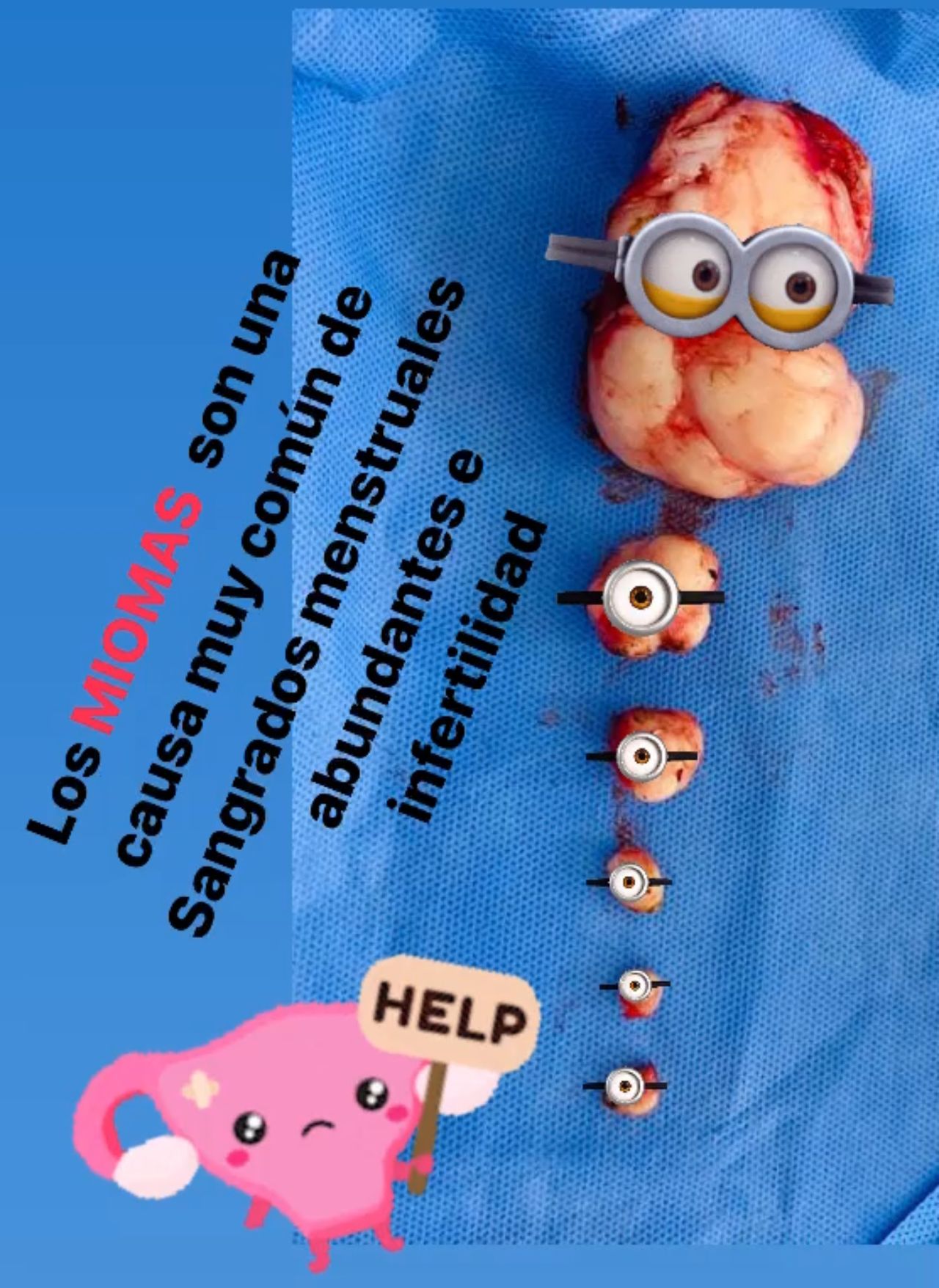 Griselda Reyes Torres-62