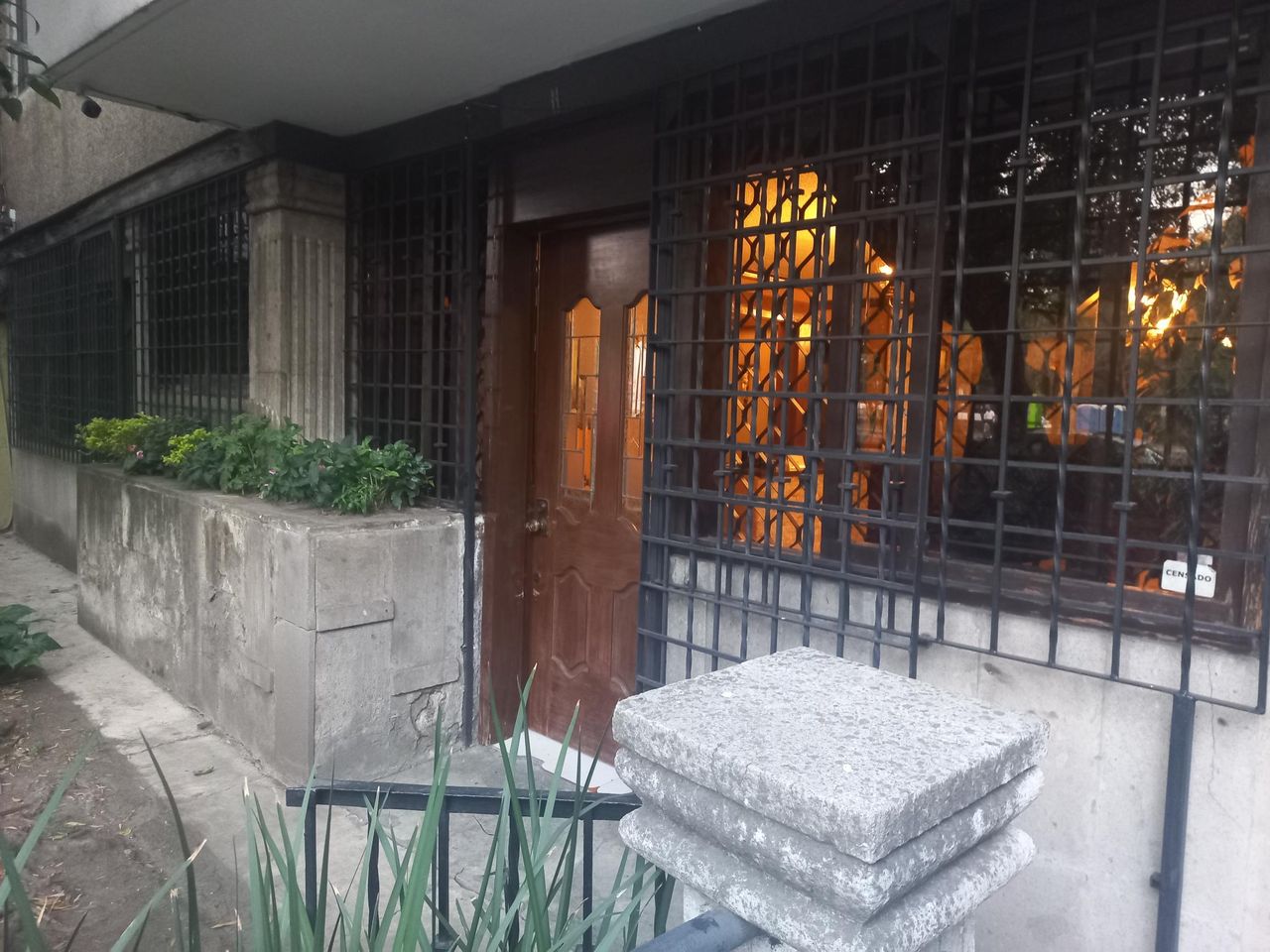 Adolfo Castro Rosas-0