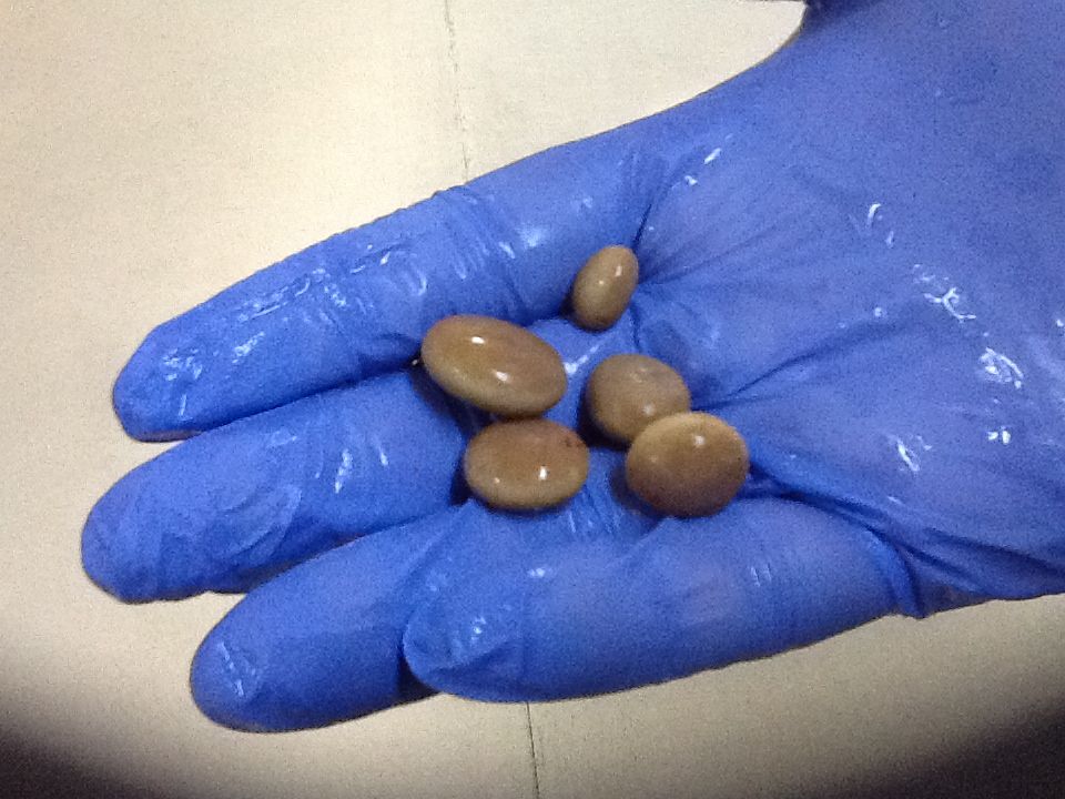 Genaro Salazar Velazquez-25