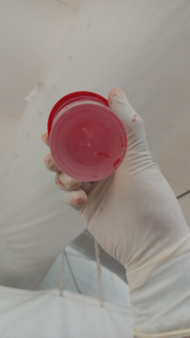 Carlos Gómez Guzmán-20