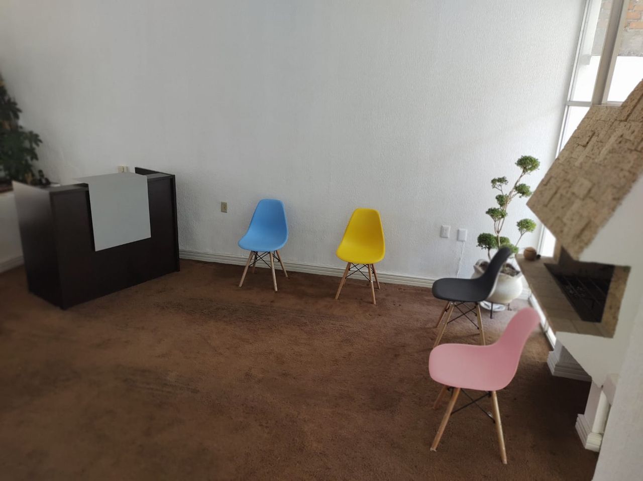 Irupé Domínguez-59