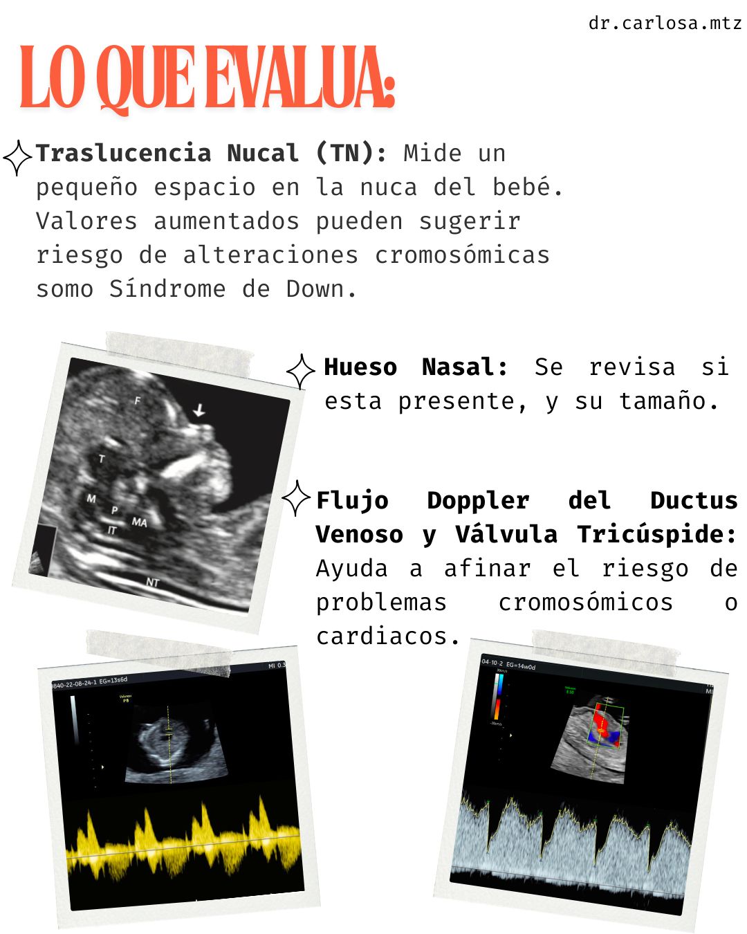 Carlos Arturo Martínez Méndez-14