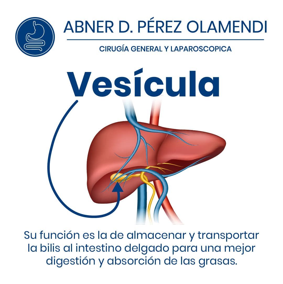 Abner Daniel Pérez Olamendi-12