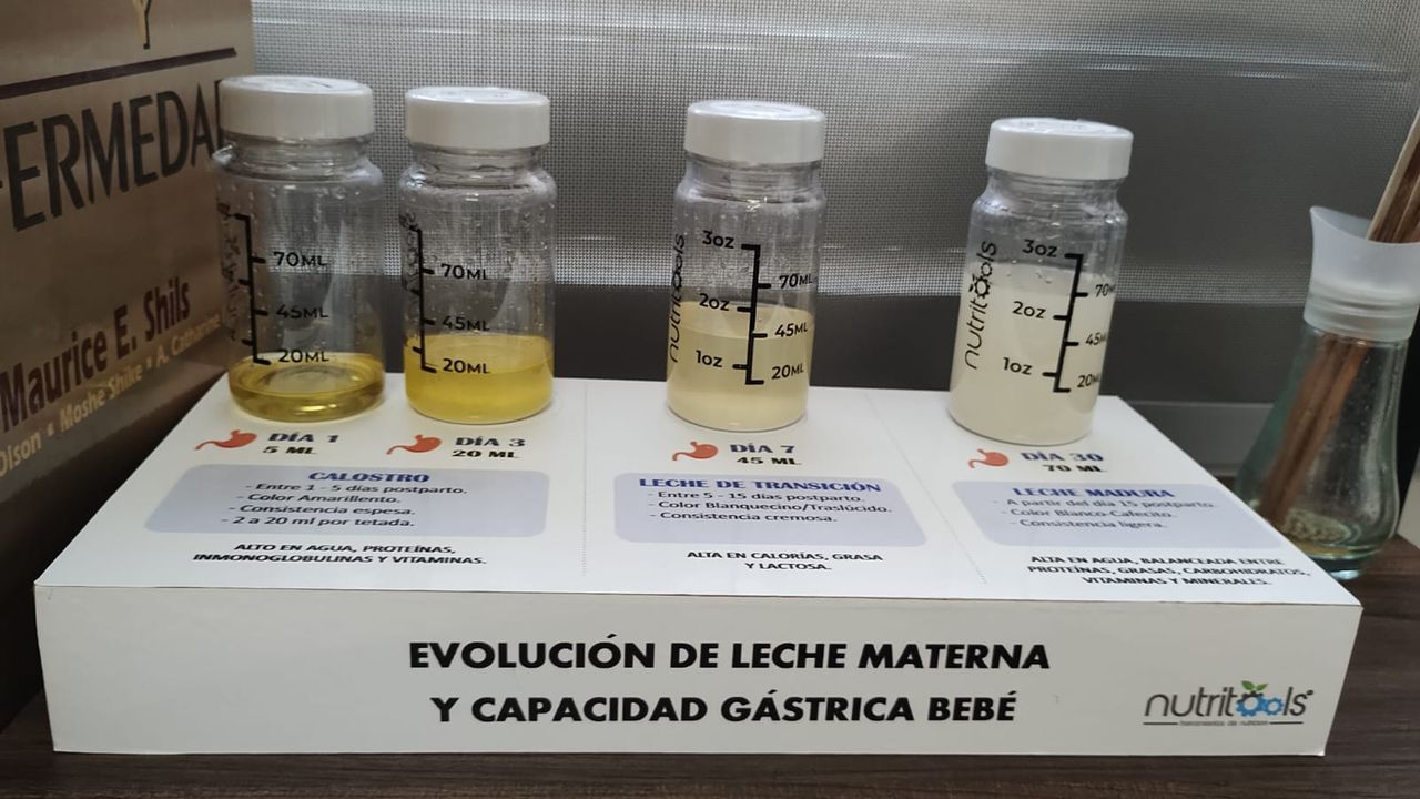 Diana Isabel Ortega Arizpe-3