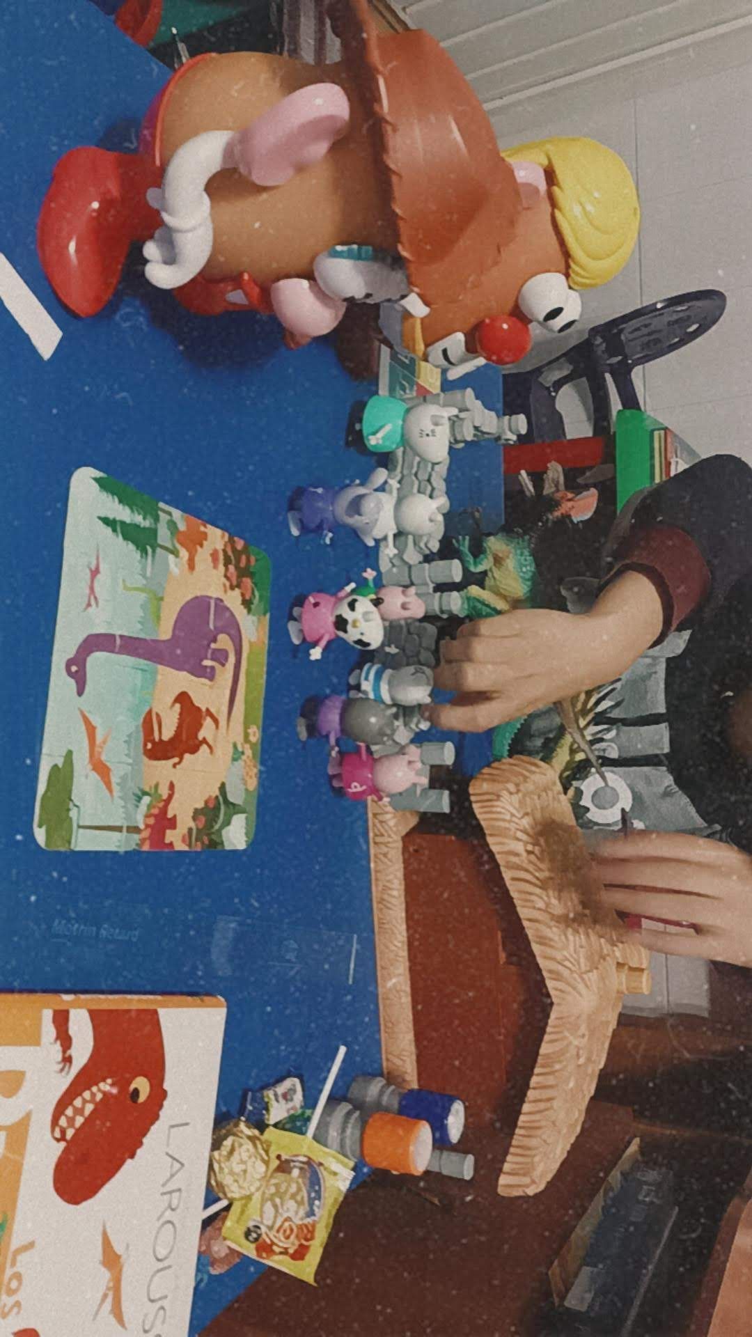 Brenda Rocío Lopez Sendejas-6