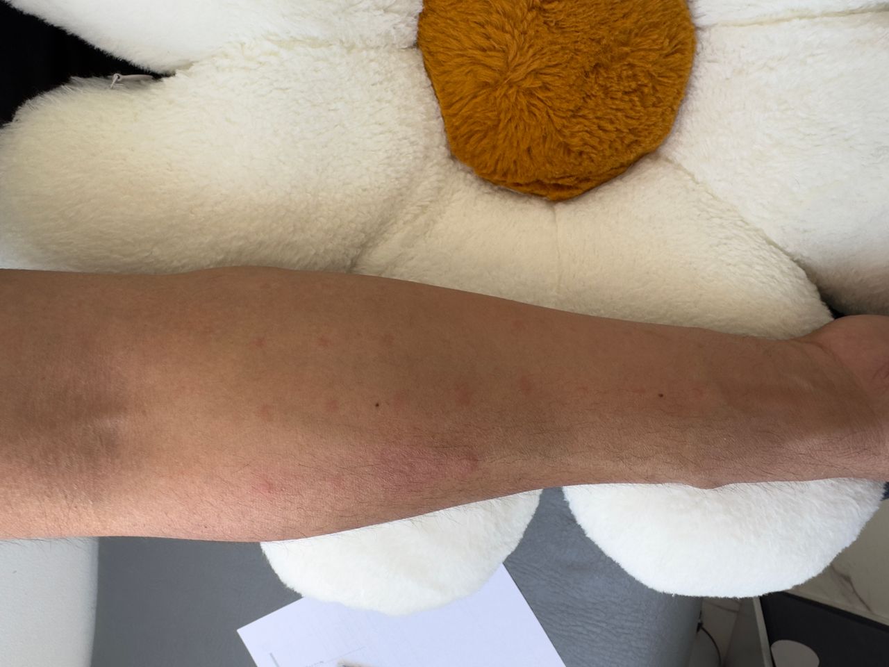 Areli López Pérez-10