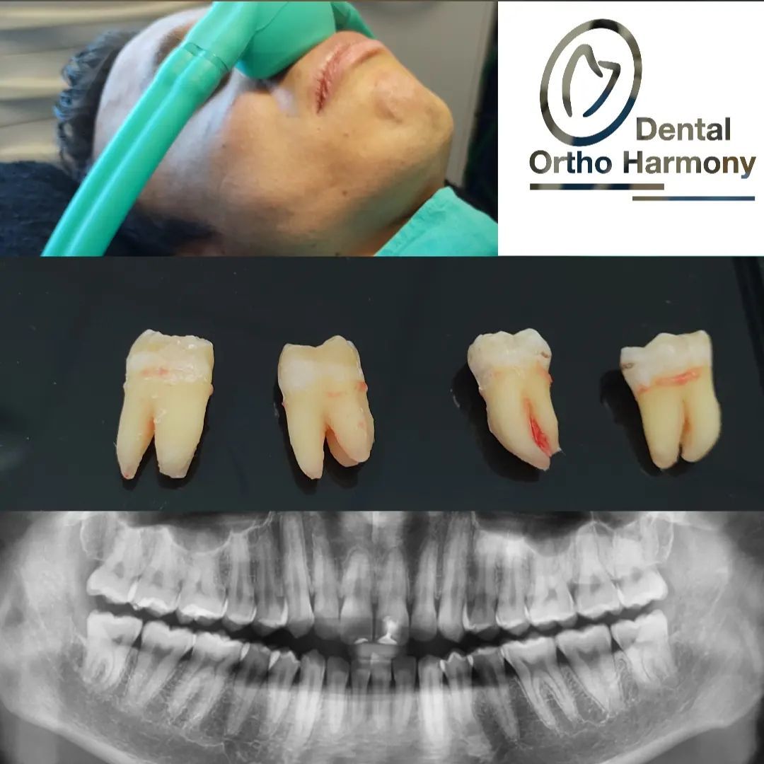 Leticia Montemayor Estrada-17