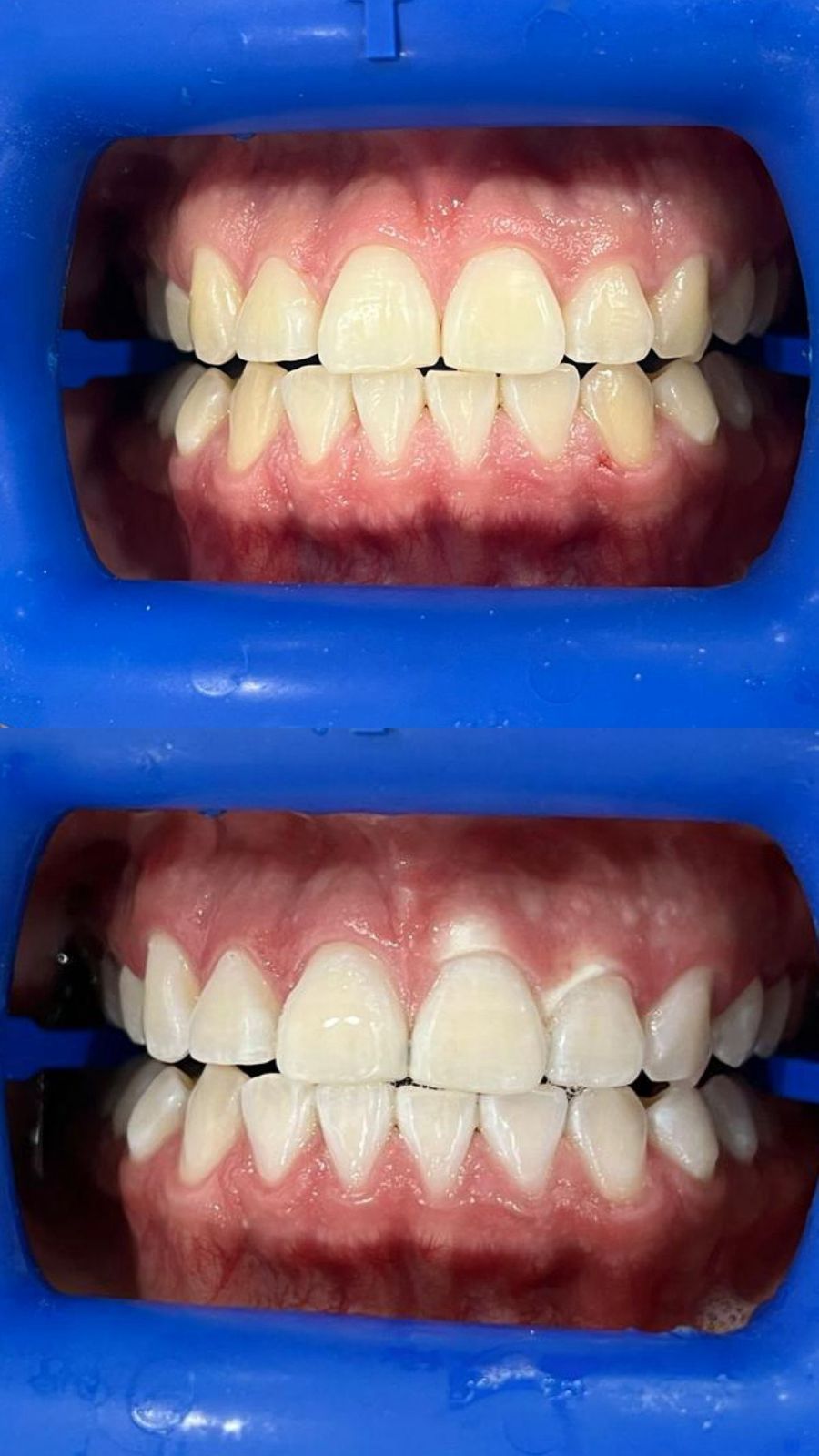 Adriana Sánchez Arreola-13