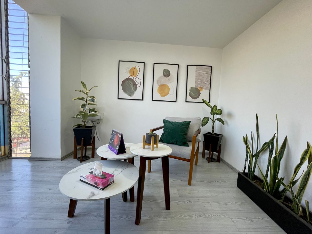 María Fernanda Abaroa Ramírez-5