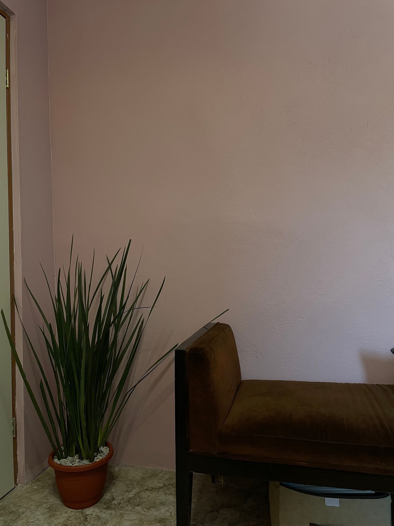 Sofía Valverde Sanchez-2