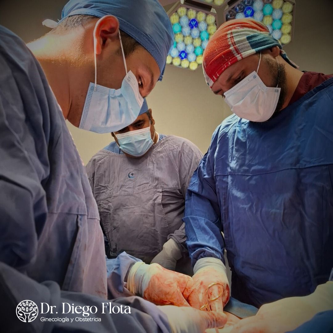 Diego Ernesto Flota Marin-5