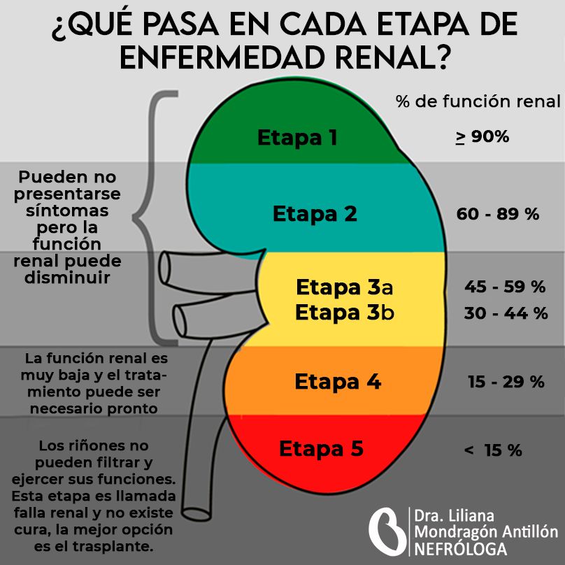 Liliana Mondragón Antillón-19