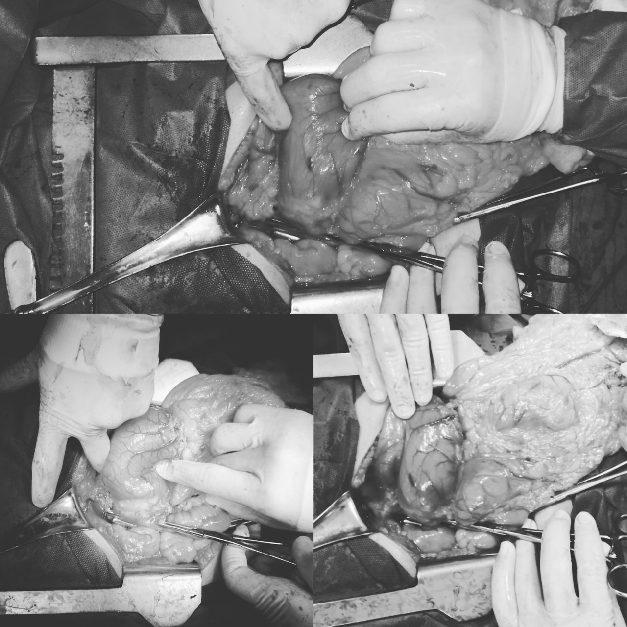 Iván Nájera Ayuso-16