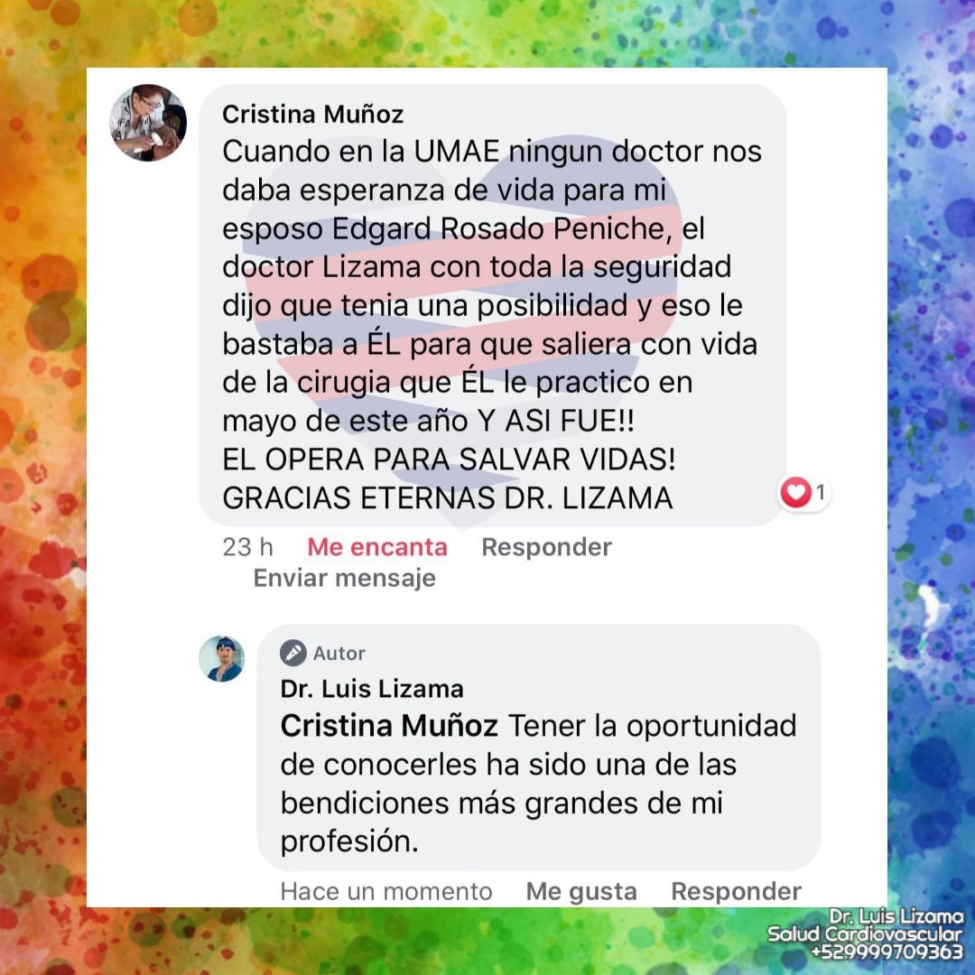 Luis Daniel Lizama Rodrí­guez-36