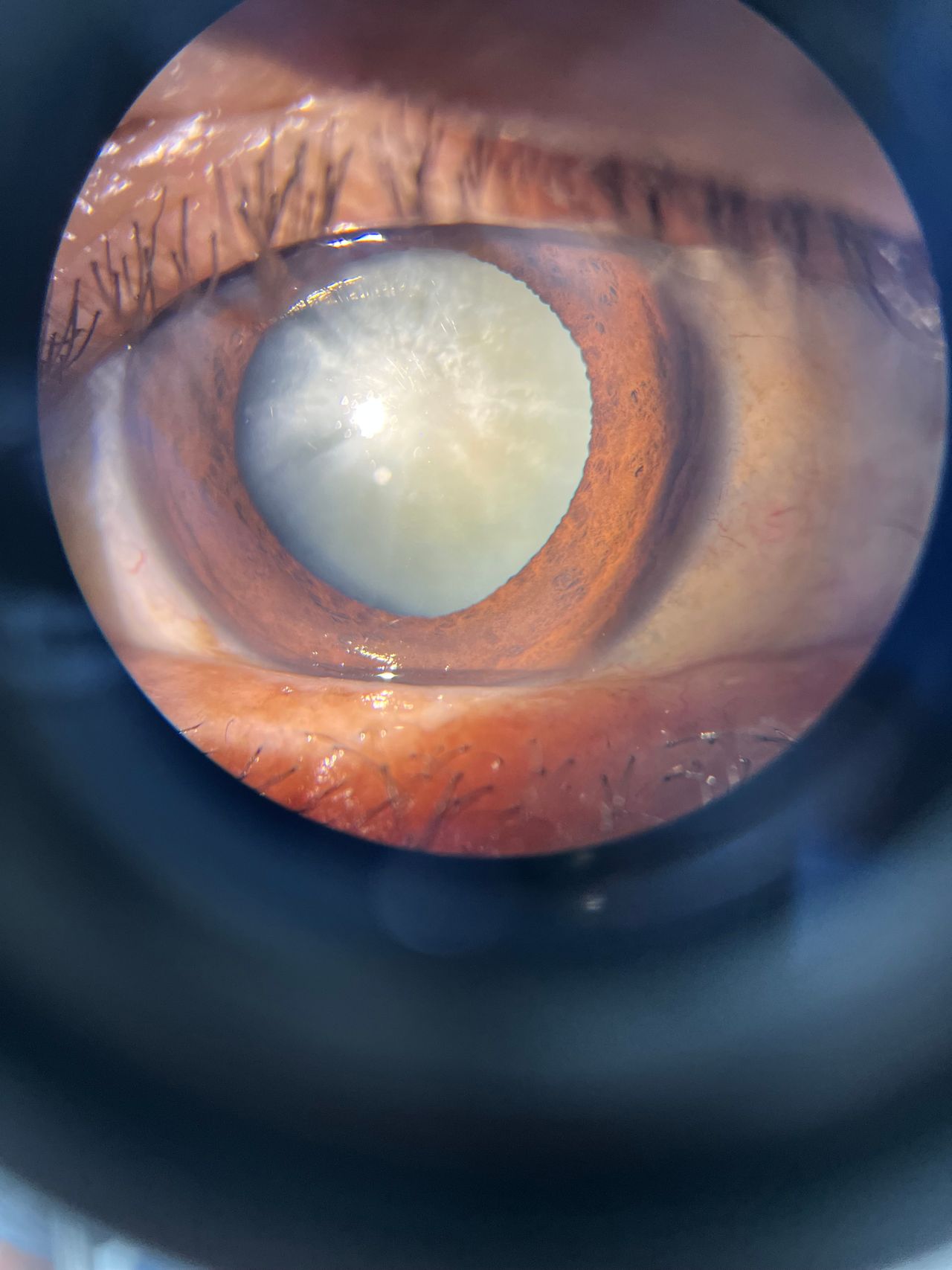 Oscar Jesús Gómez Blanco-9