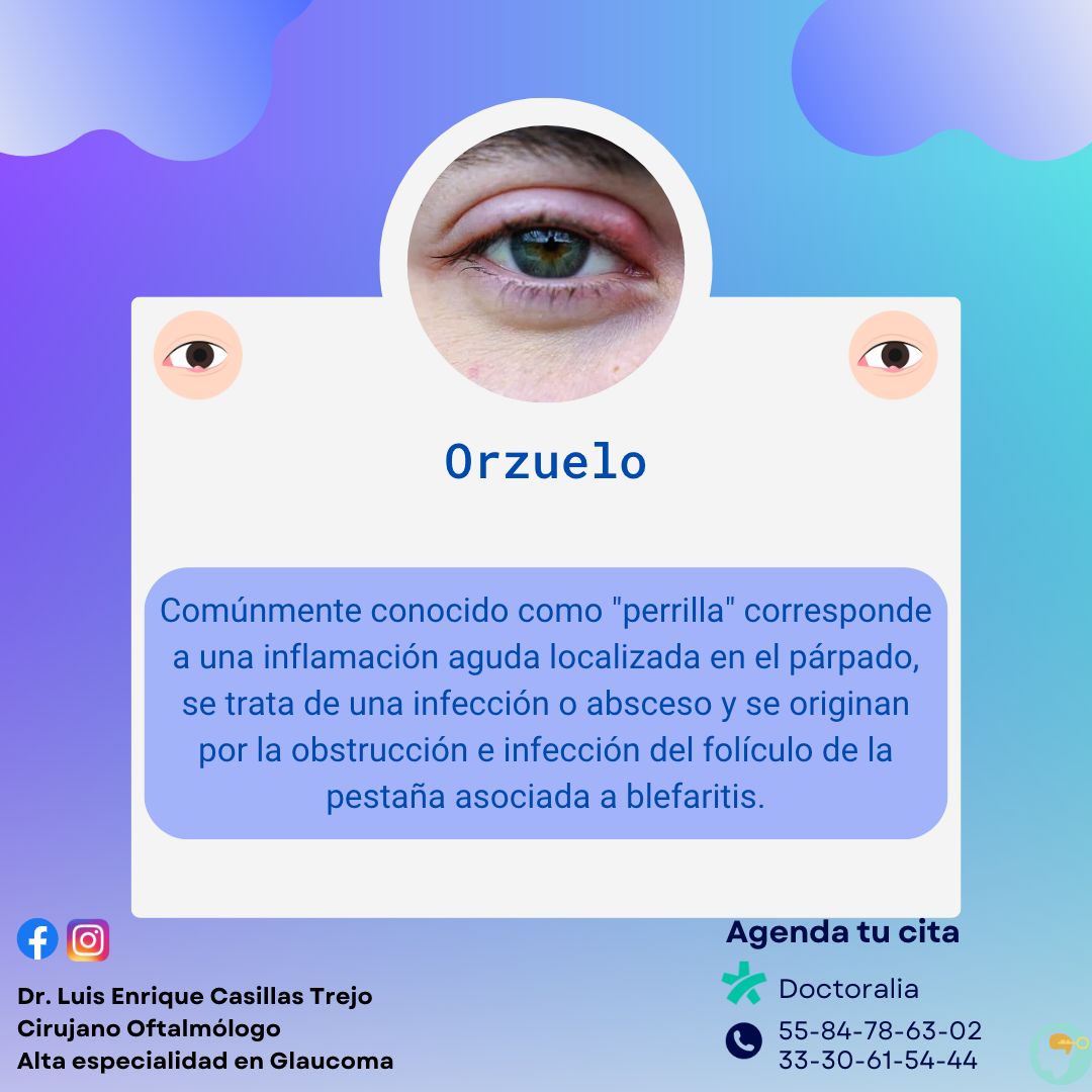 Luis Enrique Casillas Trejo-5