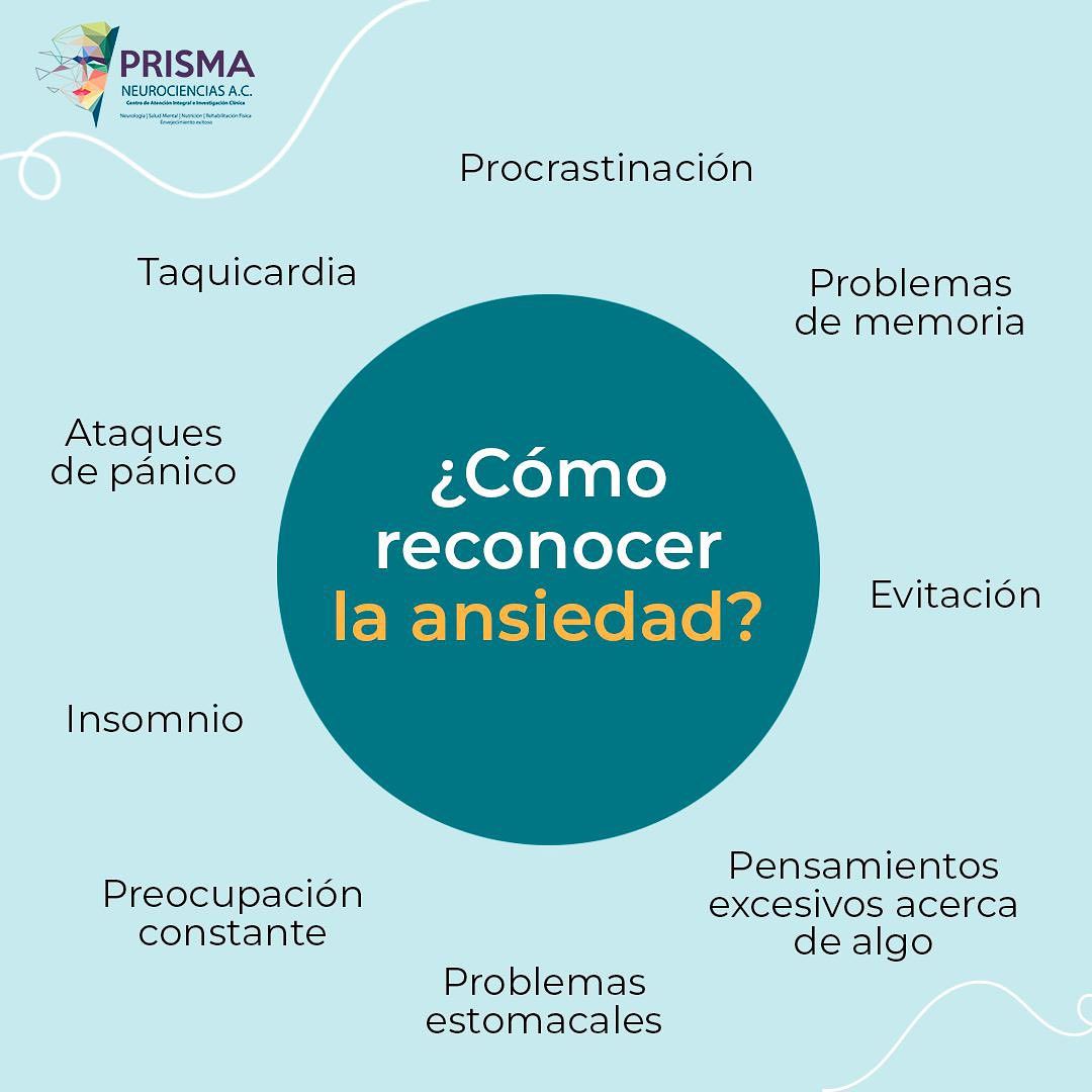 Jose Luis Olivares Neumann-1