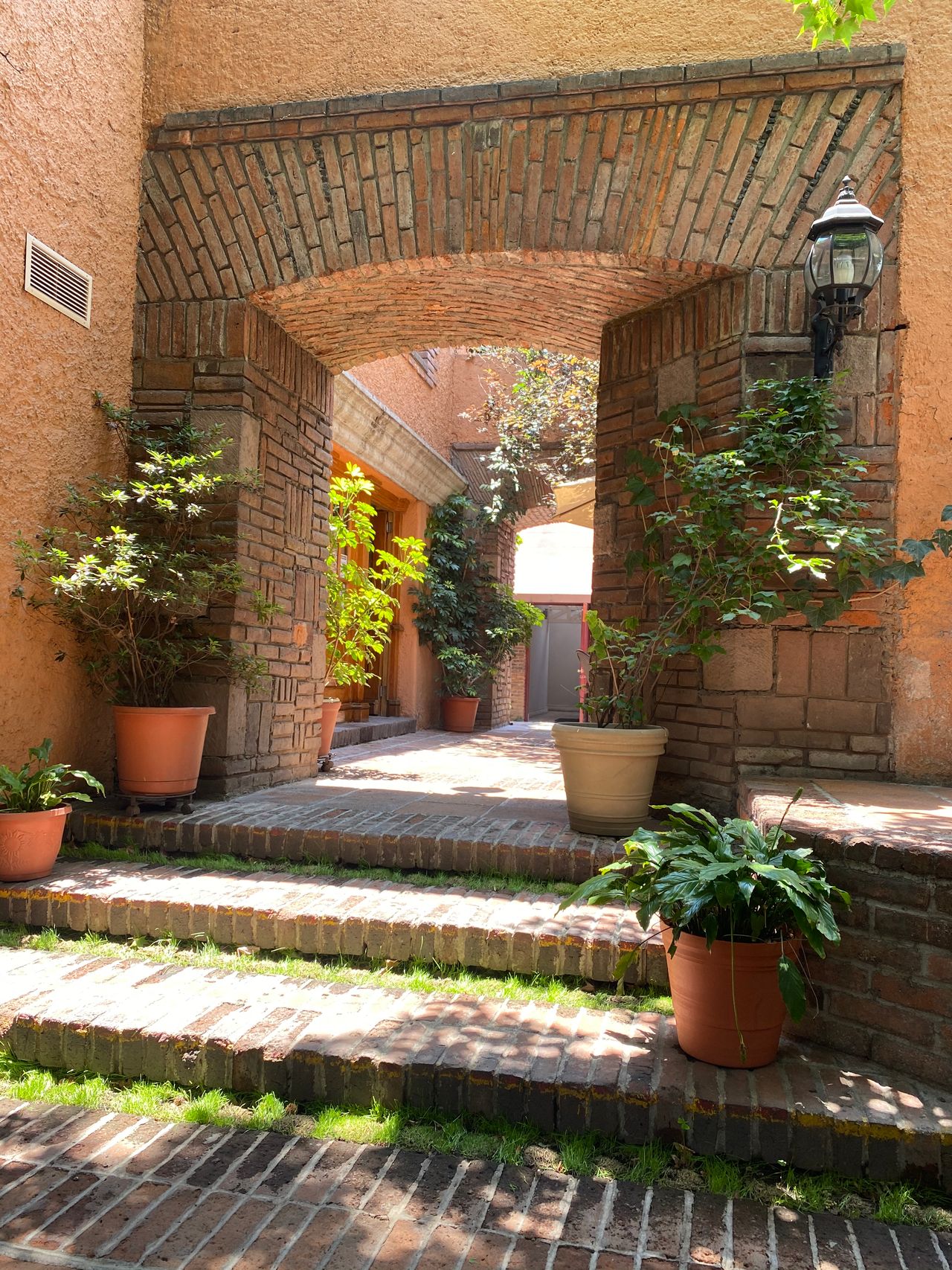 Paty Tapia Plascencia-0