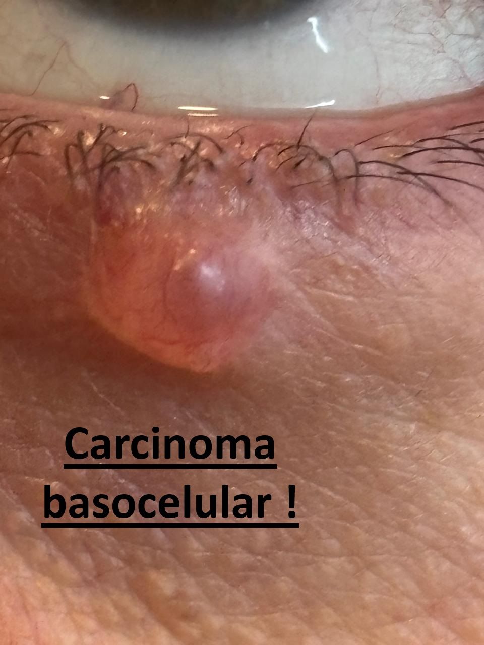 Andrea Cárdenas González-5