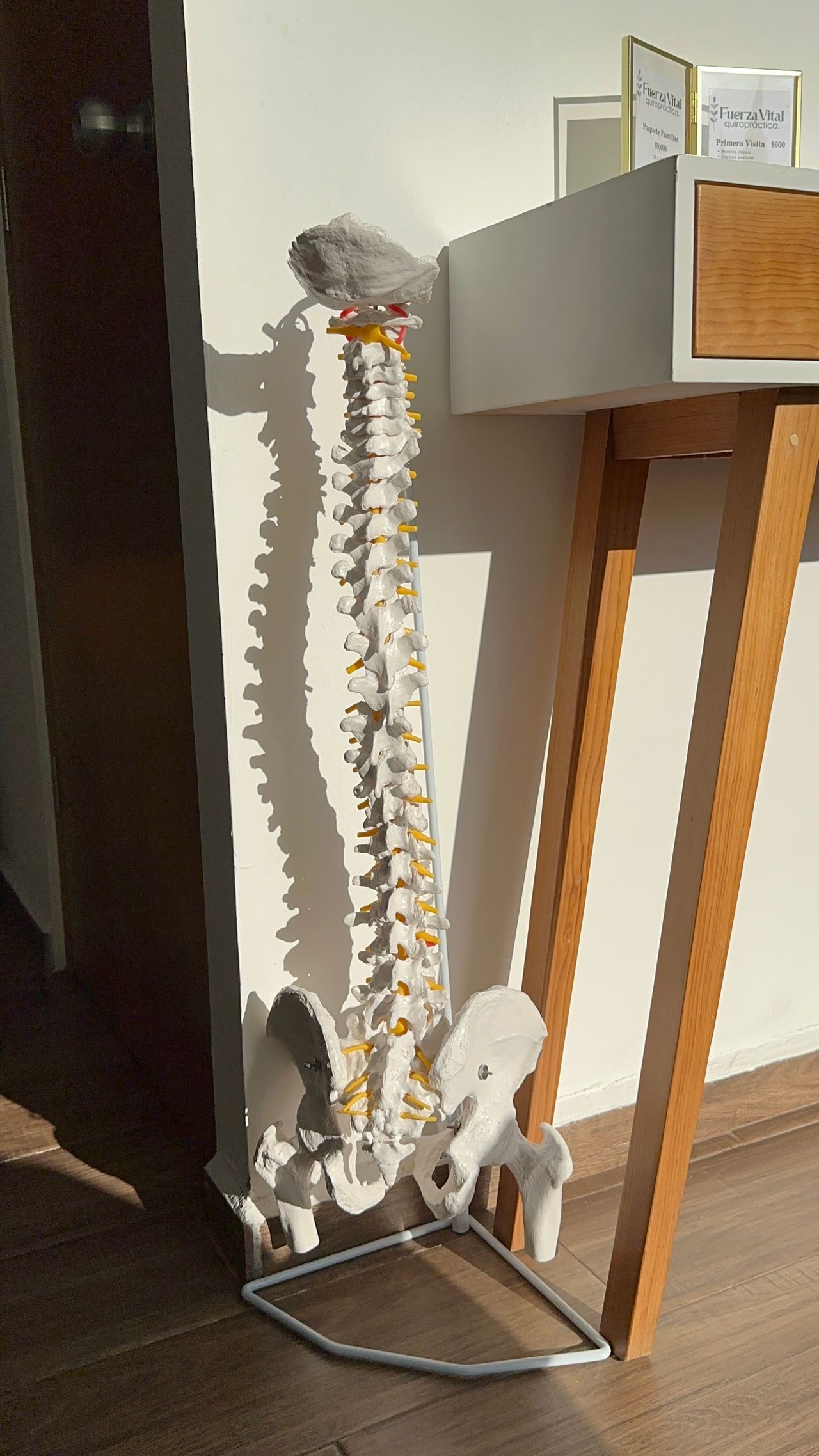 Mariana Hernández Fabila-2