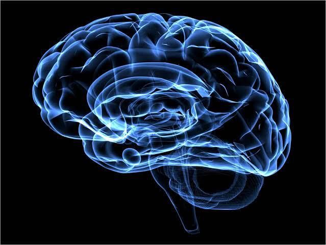 Héctor Francisco Pompa García-28