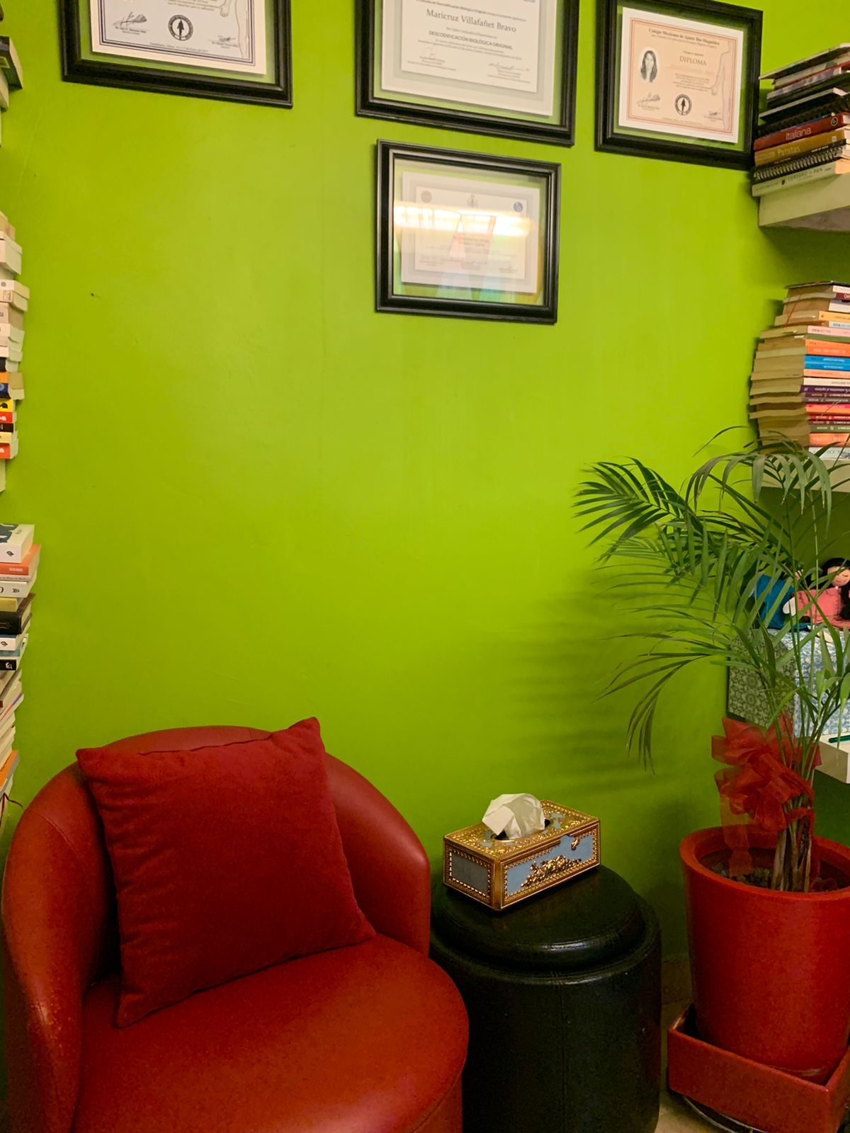 Maricruz Villafañet Bravo-2