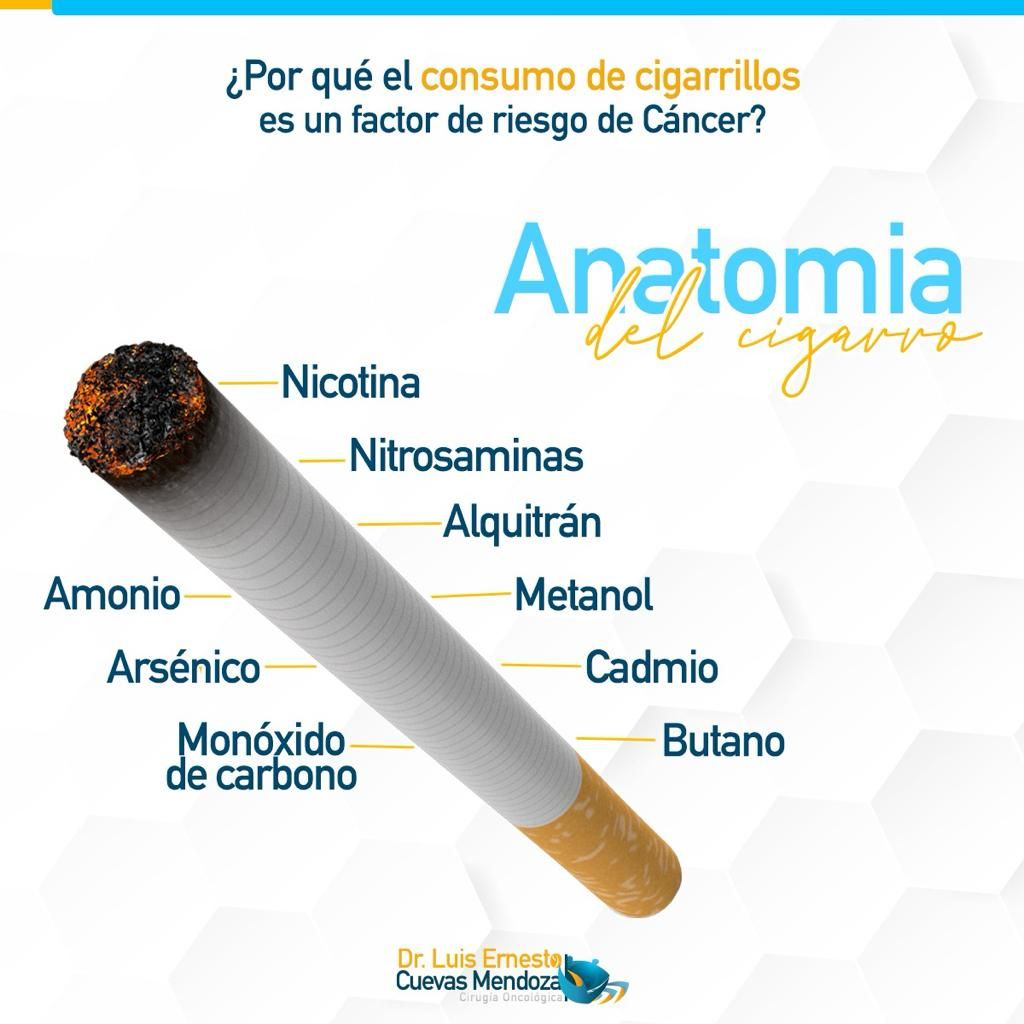 Luis Ernesto Cuevas Mendoza-11