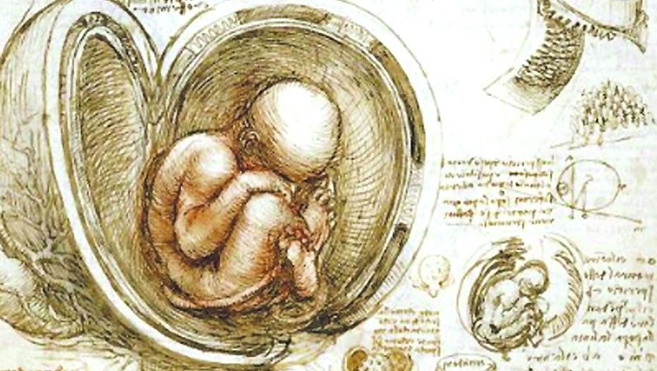 David Omar Gil Navarro-3