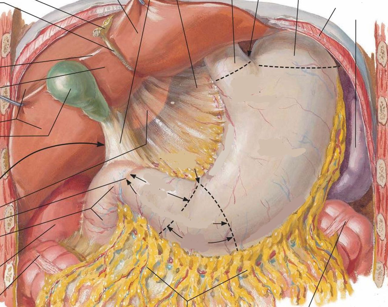 Mateo Ponciano Guerrero-5
