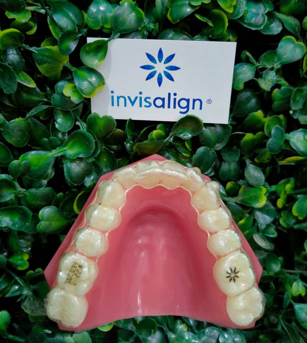 Fabián Delgado García-0