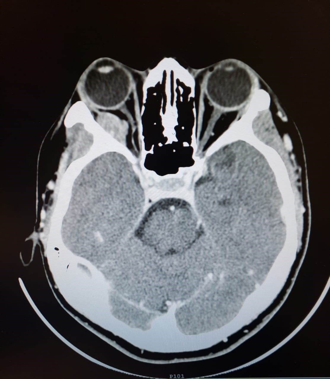 Andrea Cárdenas González-21