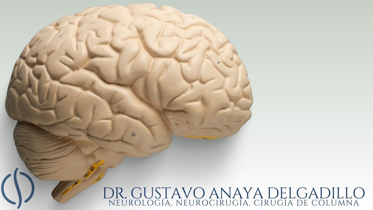 Gustavo Anaya Delgadillo-11