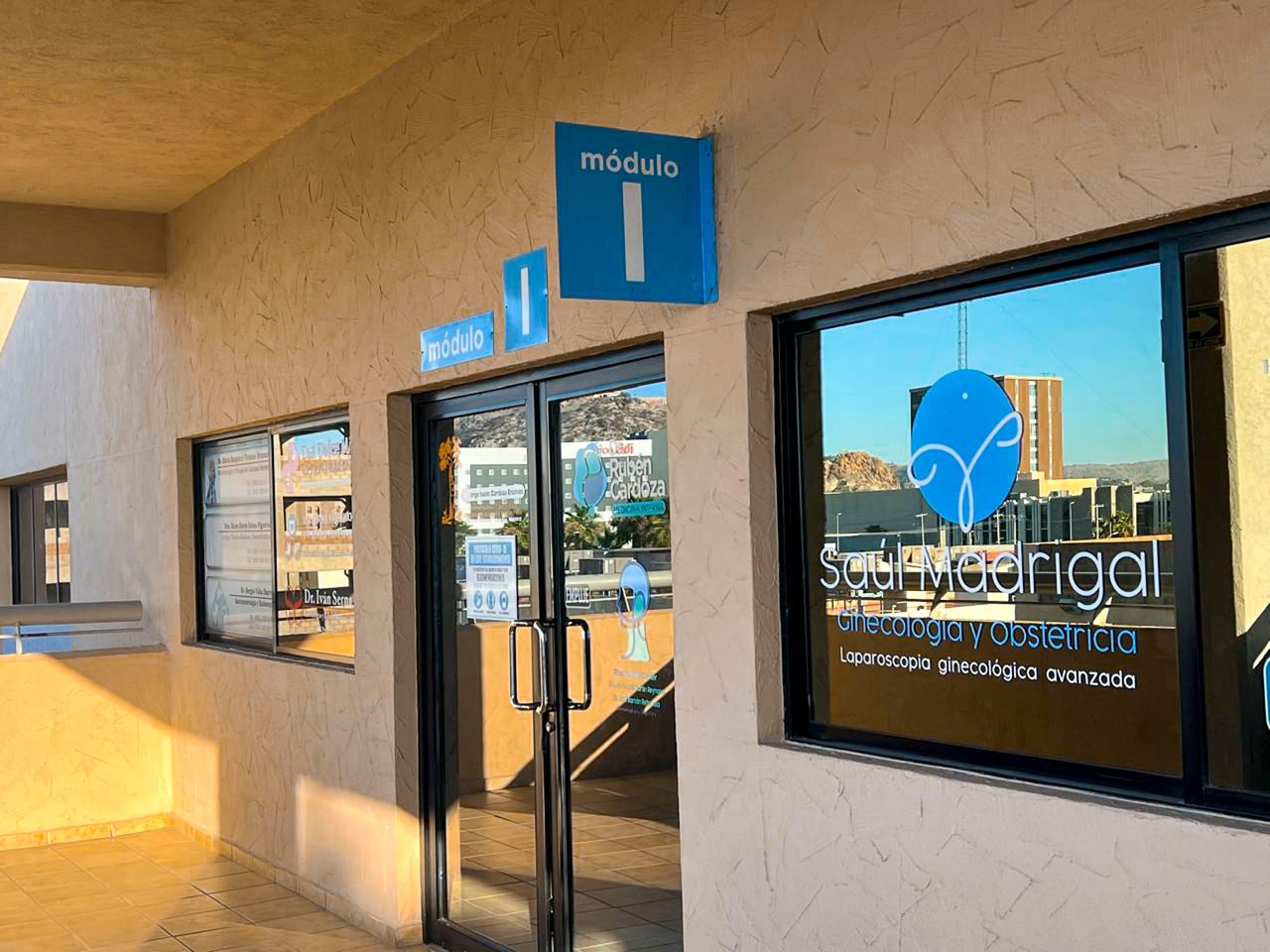 Mendelhsson Mata Cortes-0