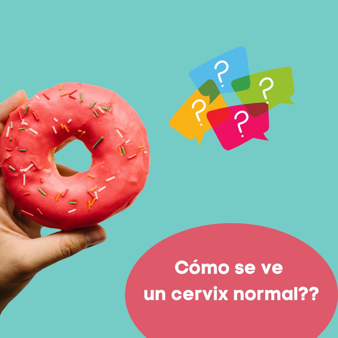 Everardo Ruvalcaba Rivera-6