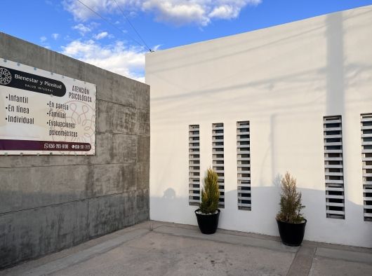 Héctor Guadalupe Rojo González-9