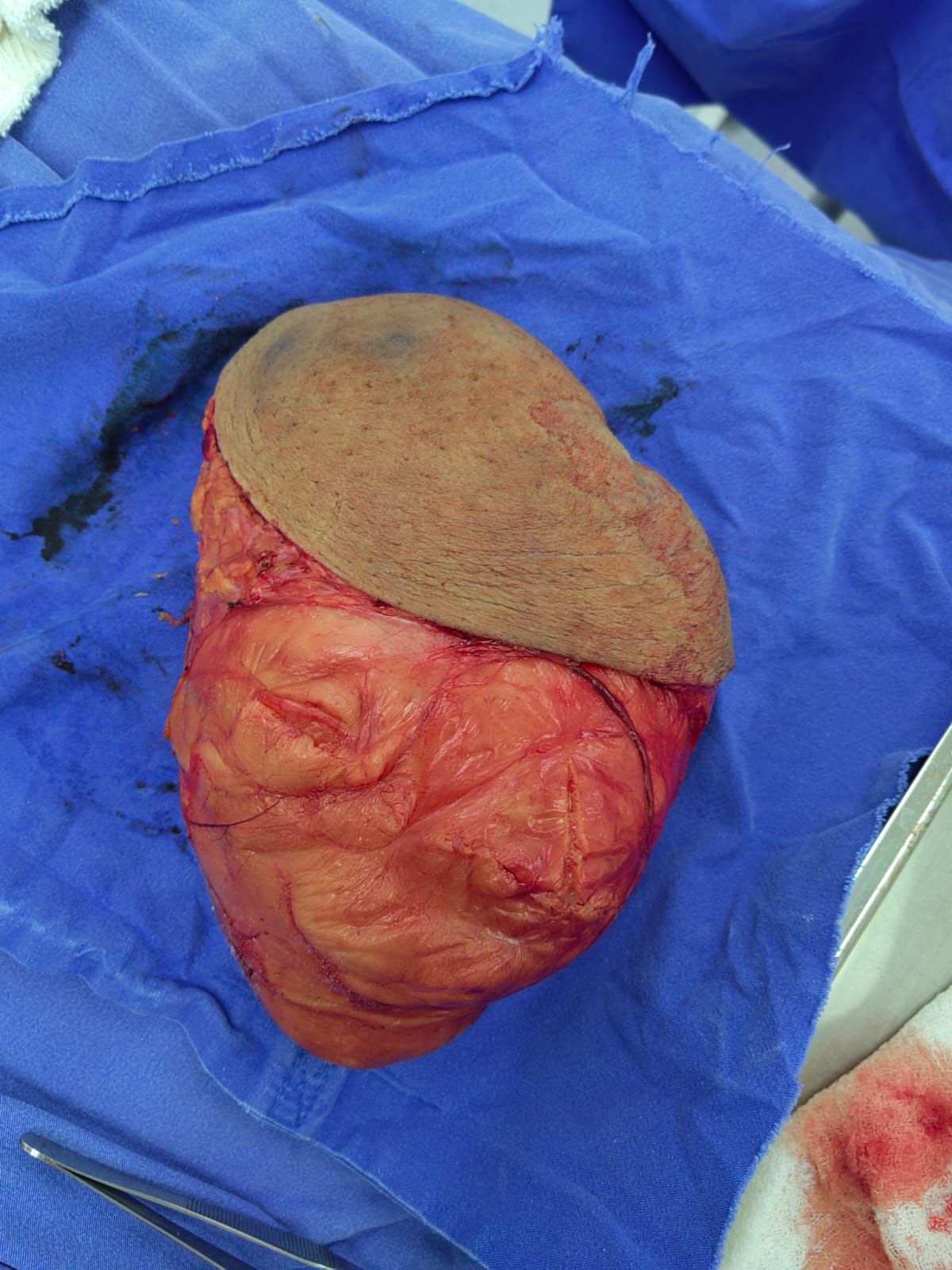 José Martín López Cartas-19