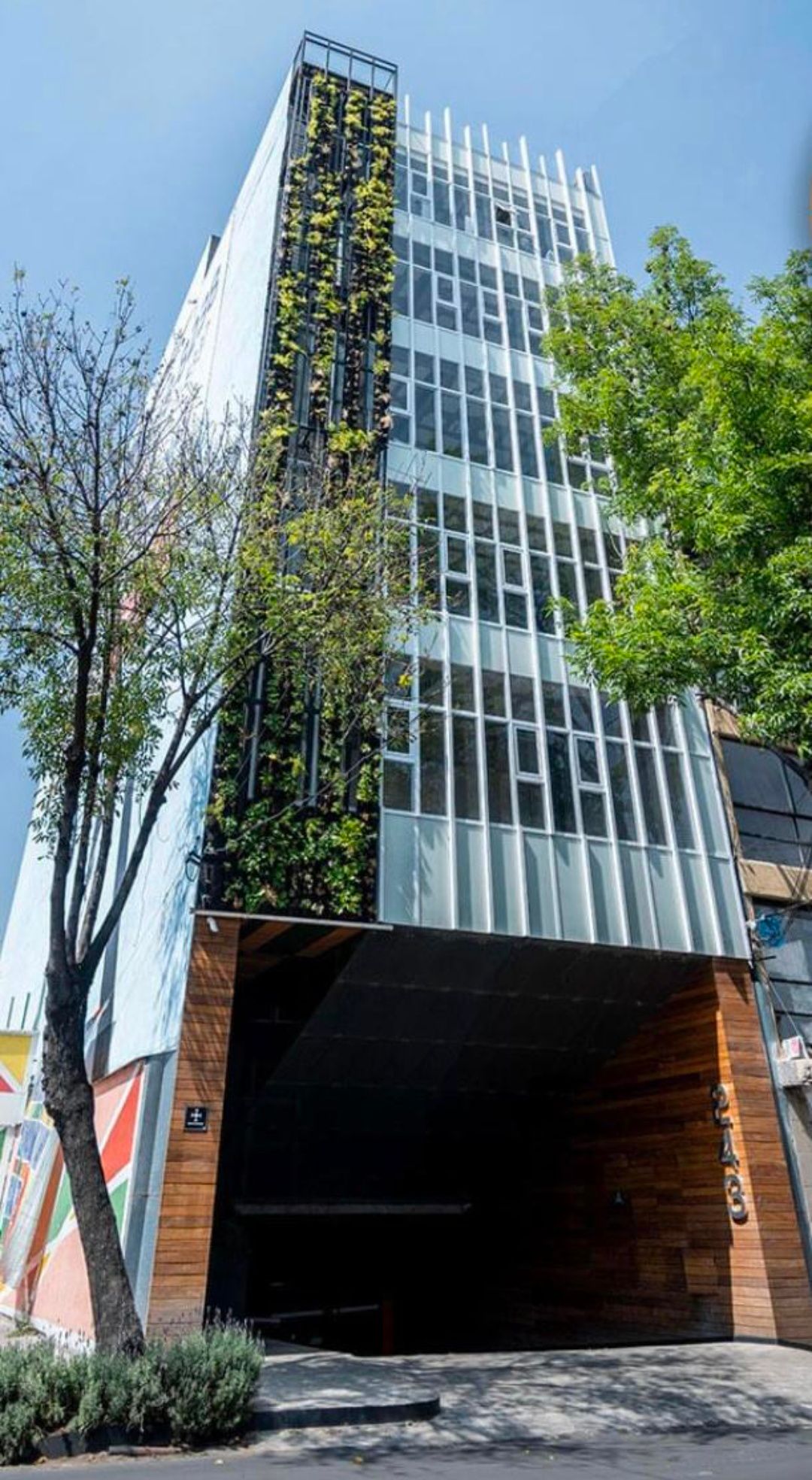 Alicia Cortés Barrón-3