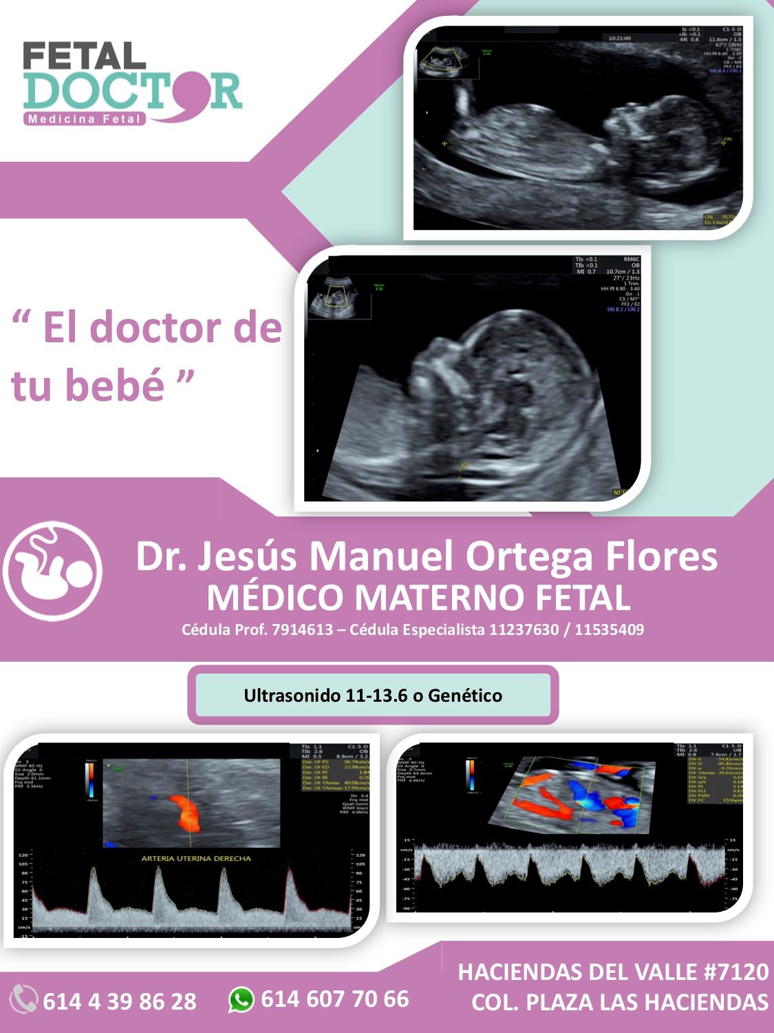 Jesús Manuel Ortega Flores-9